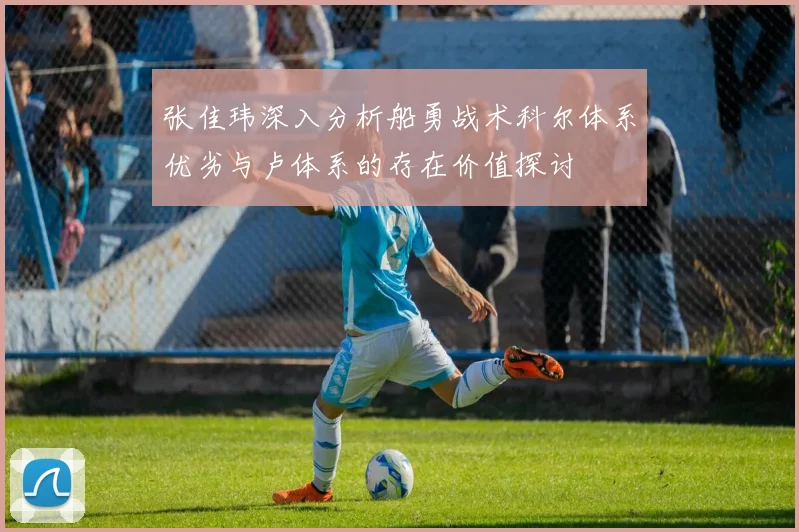 张佳玮深入分析船勇战术科尔体系优劣与卢体系的存在价值探讨