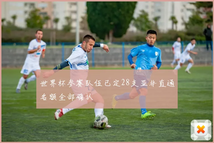世界杯参赛队伍已定28支亚非直通名额全部确认