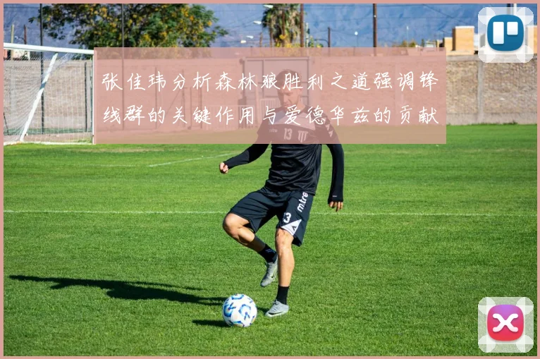 张佳玮分析森林狼胜利之道强调锋线群的关键作用与爱德华兹的贡献
