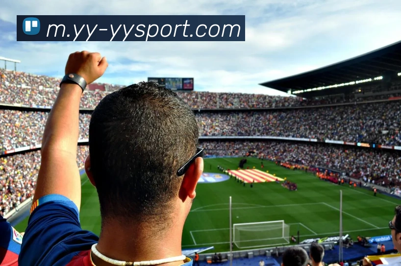 易游体育平台生态图